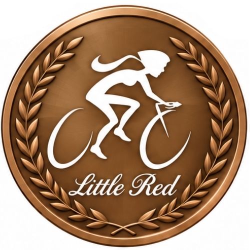 Bronze Sponsor