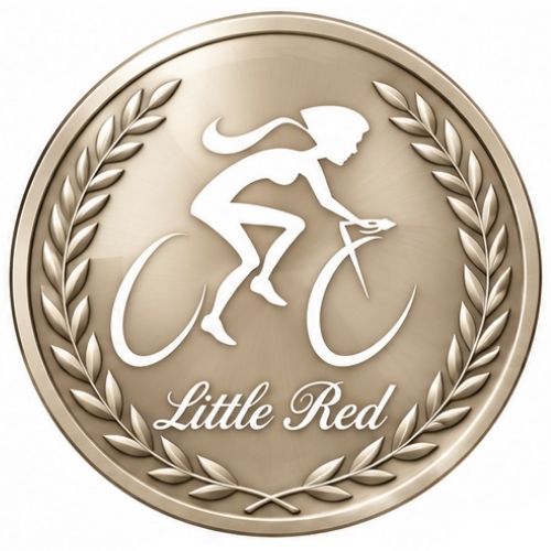 Platinum Sponsor