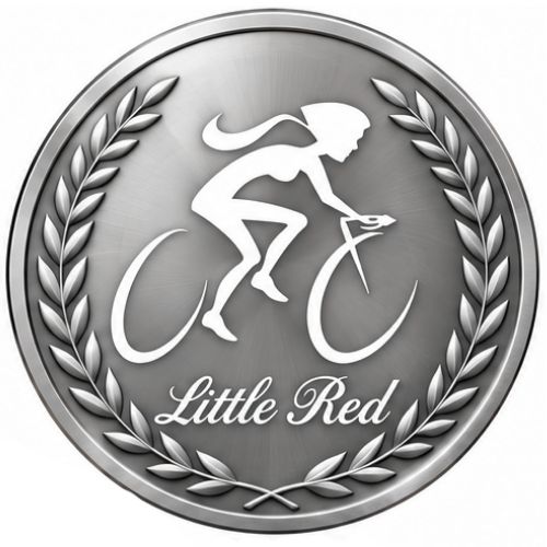 Silver Sponsor